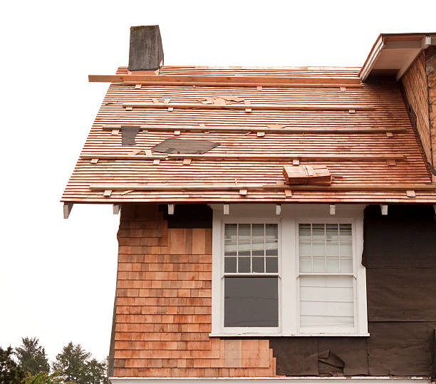 Affordable Siding Repair and Maintenance Services in Rupert, WV